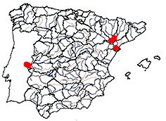 Silurus glanis_mapa.jpg